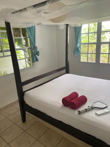 Akunamatata Guest House Grand Case - Chambres d’hôtes