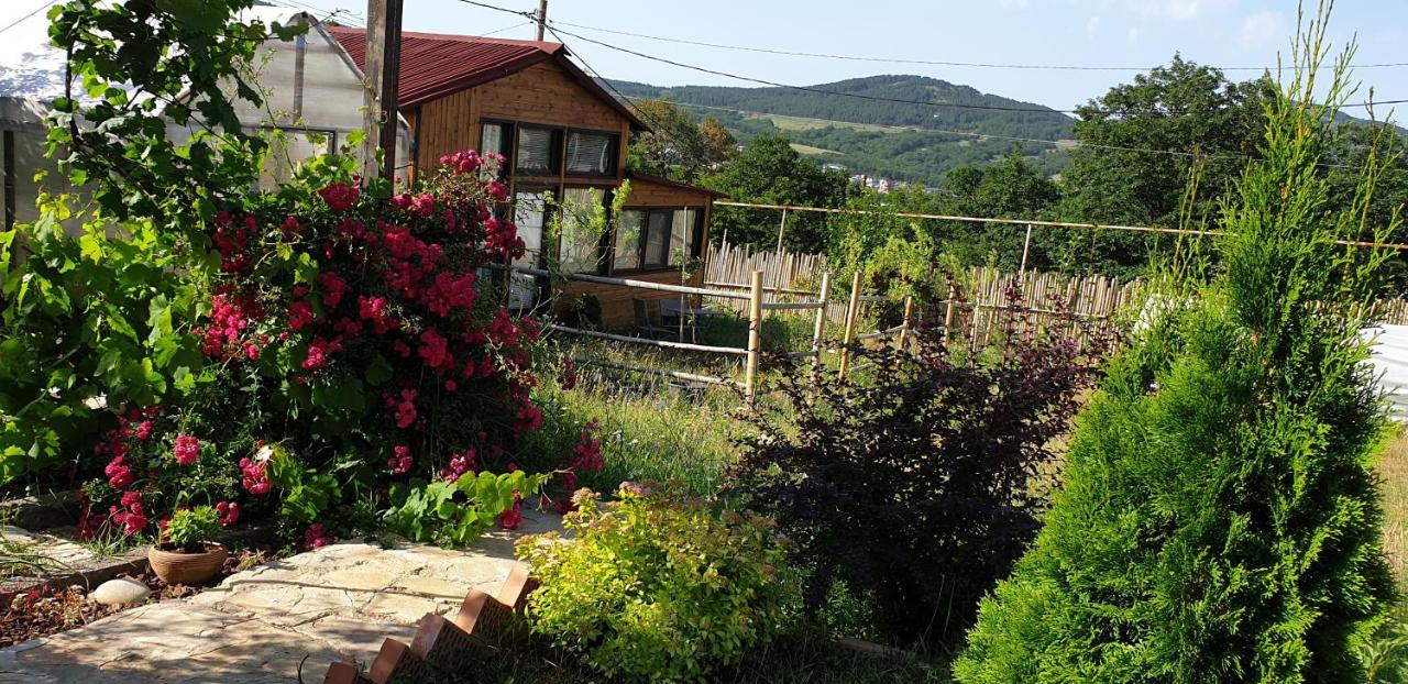 Kiketi Paradise - B&B K’ik’eti