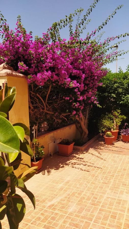 B&B Olmedo - Bouganville - Bed and Breakfast Olmedo