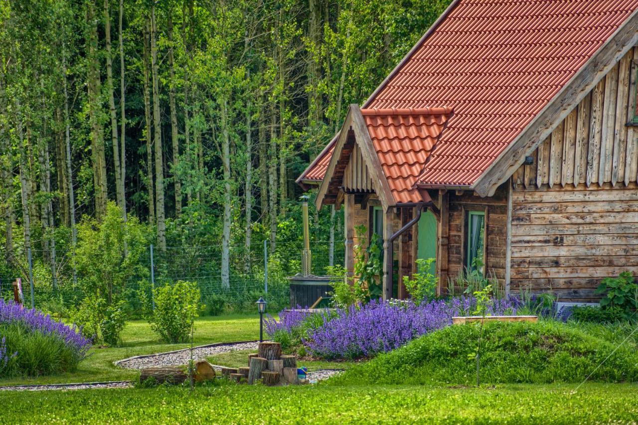 B&B Ryn - Zielone Ławki - Bed and Breakfast Ryn