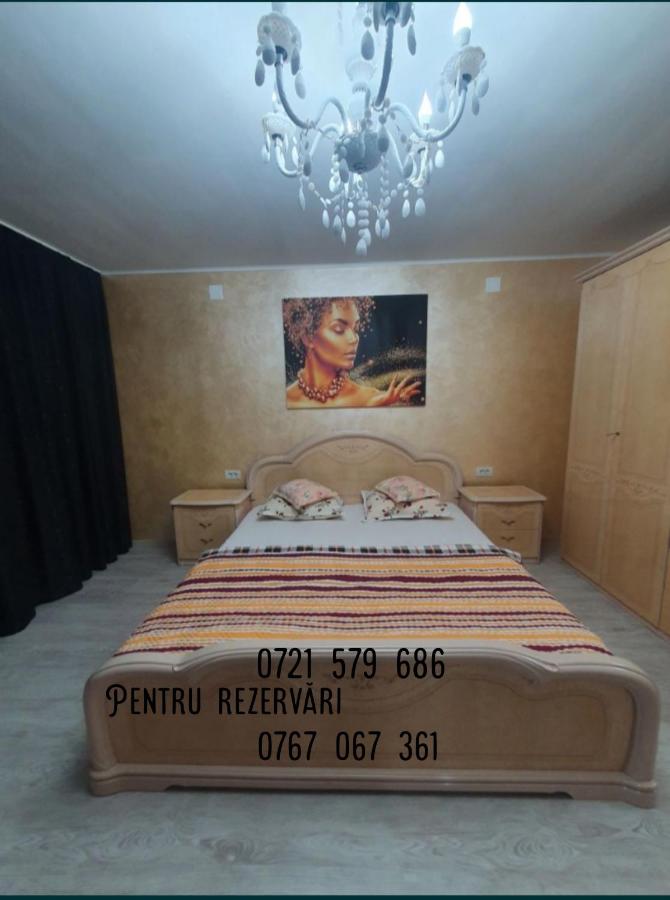 B&B Targu Jiu - Kriss Apartment Luxury - Bed and Breakfast Targu Jiu