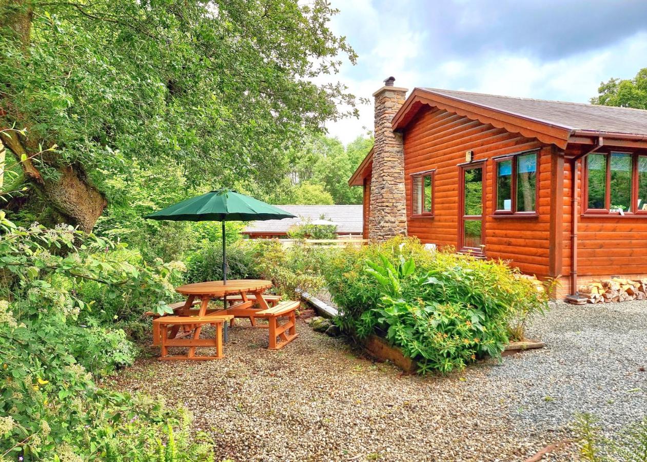 Luxury Wood Lodge with sauna, log burner & private woodland garden - Wnion Wood Lodge - B&B Llanfachreth