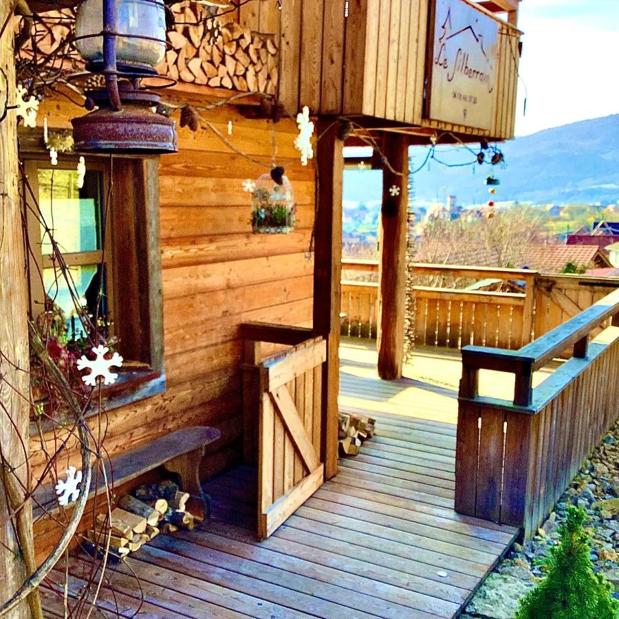 Chalet du Silberrain près de Colmar - cheminée, sauna, piscine partagée - Ferienwohnung Osenbach