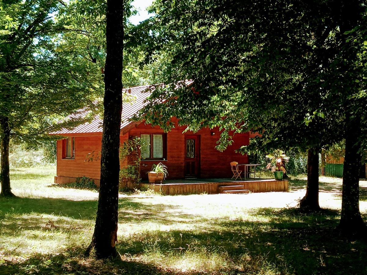 B&B Valpuiseaux - Chalet en forêt, brame du cerf - Bed and Breakfast Valpuiseaux