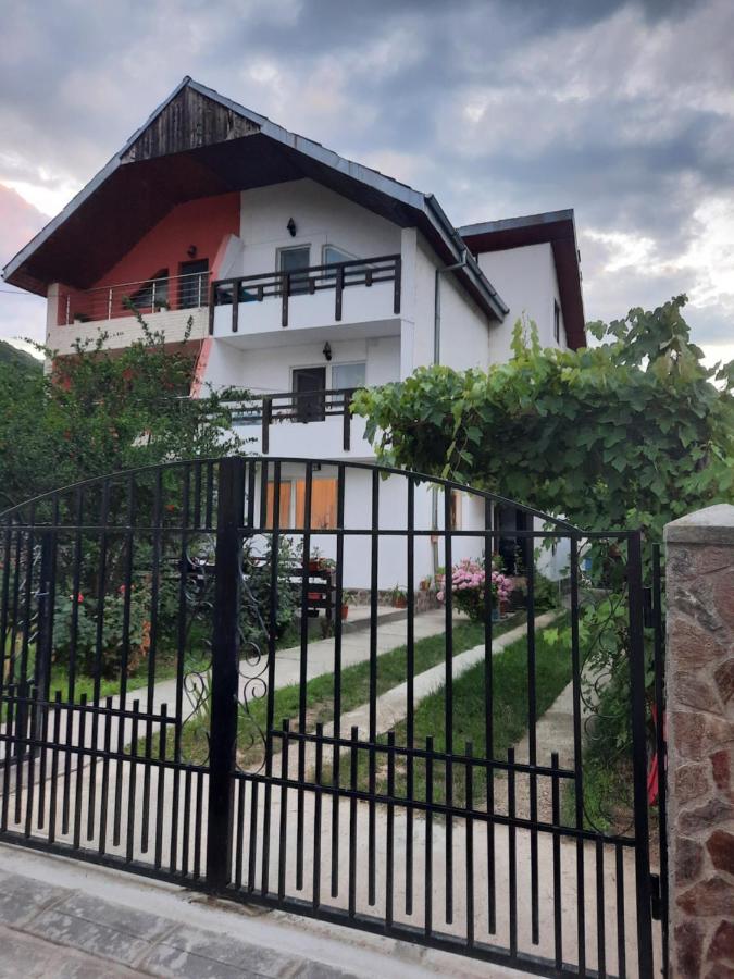Casa Lica - Chambres d’hôtes Căciulata