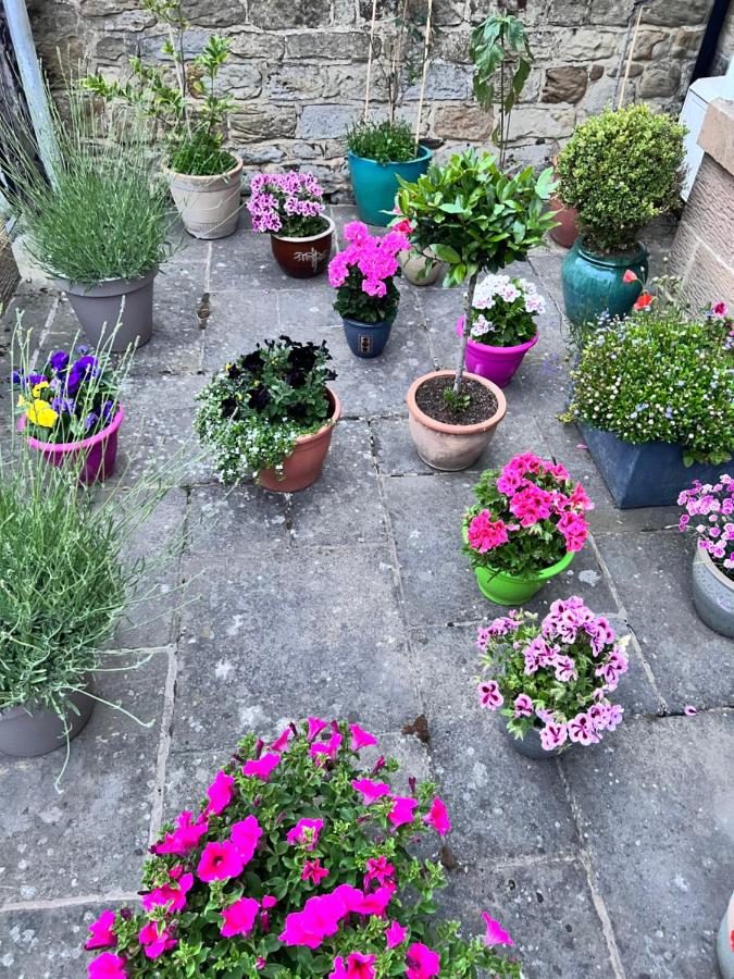 The Badger Set - B&B Hinderwell