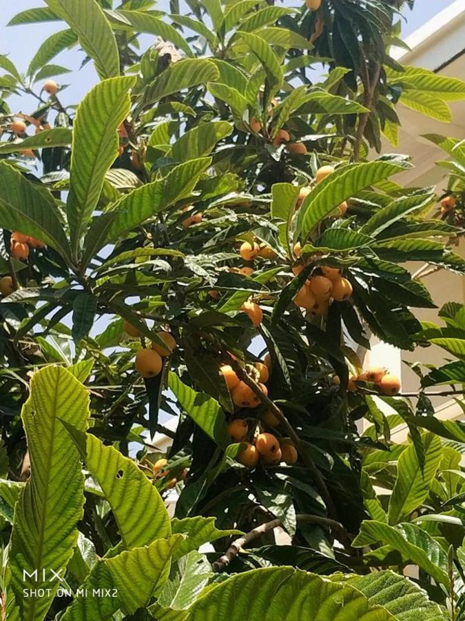 Vila MeriS - B&B Durazzo