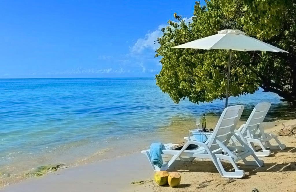 Champagne Villa - Bed and Breakfast Whitehouse