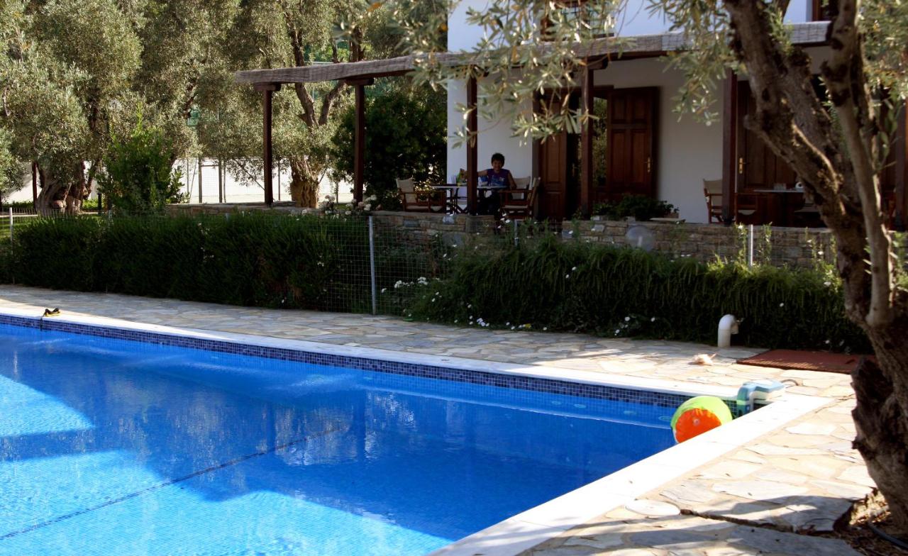 Studio Appartement met Uitzicht op Zee