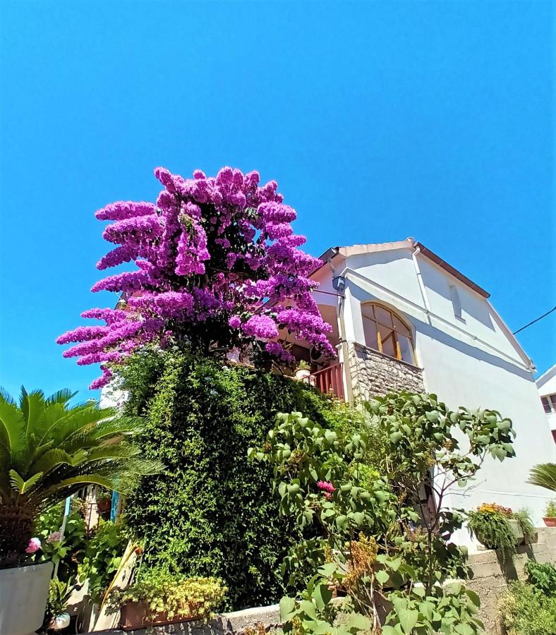 Apartman Nada - Ferienwohnung