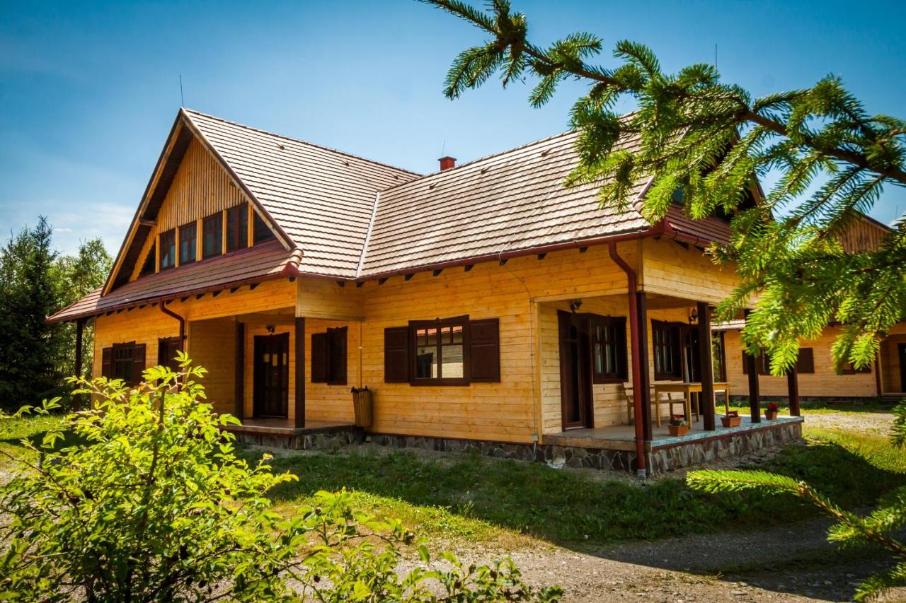 Pensiunea Sapte Flori - Ferienwohnung
