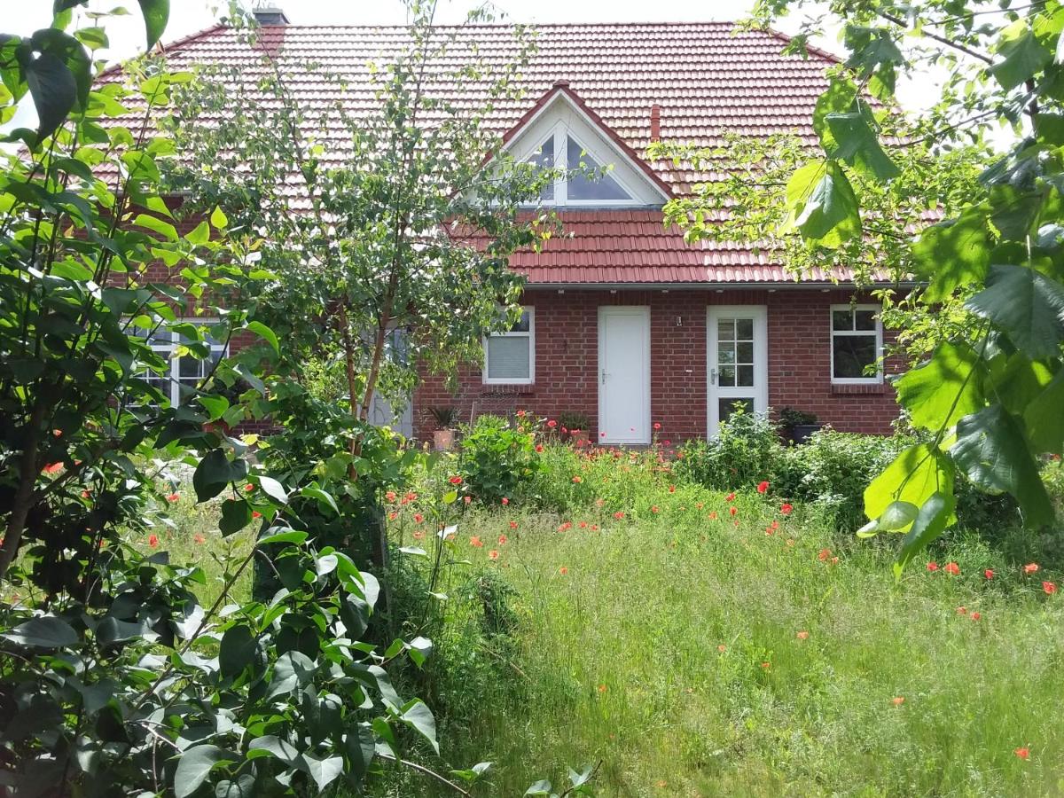 Haus Rosengarten- Ruhige Ferienwohnungen im Grünen - B&B Sehlen