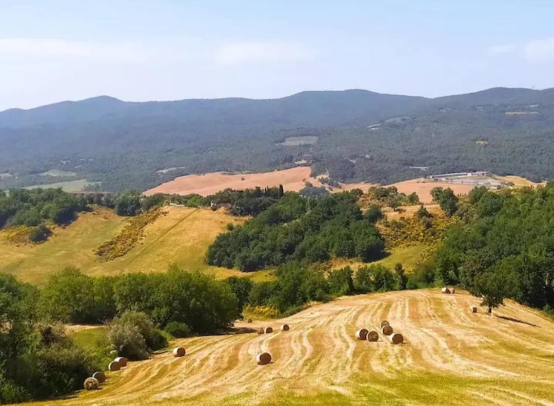 Casa Contadina in borgo medievale, Tuscany - B&B Monteguidi