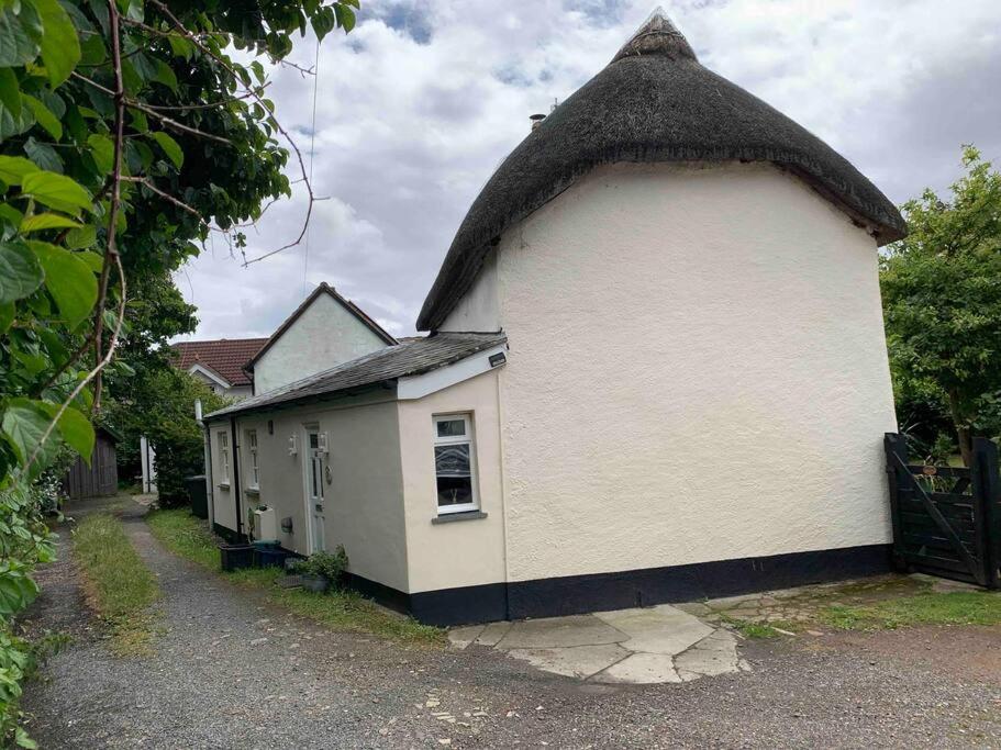 Forsythia cottage with surf and cycle hire - B&B