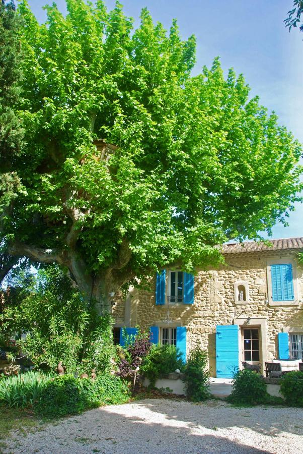 B&B Salon-de-Provence - Les Volets Bleus Provence - Bed and Breakfast Salon-de-Provence