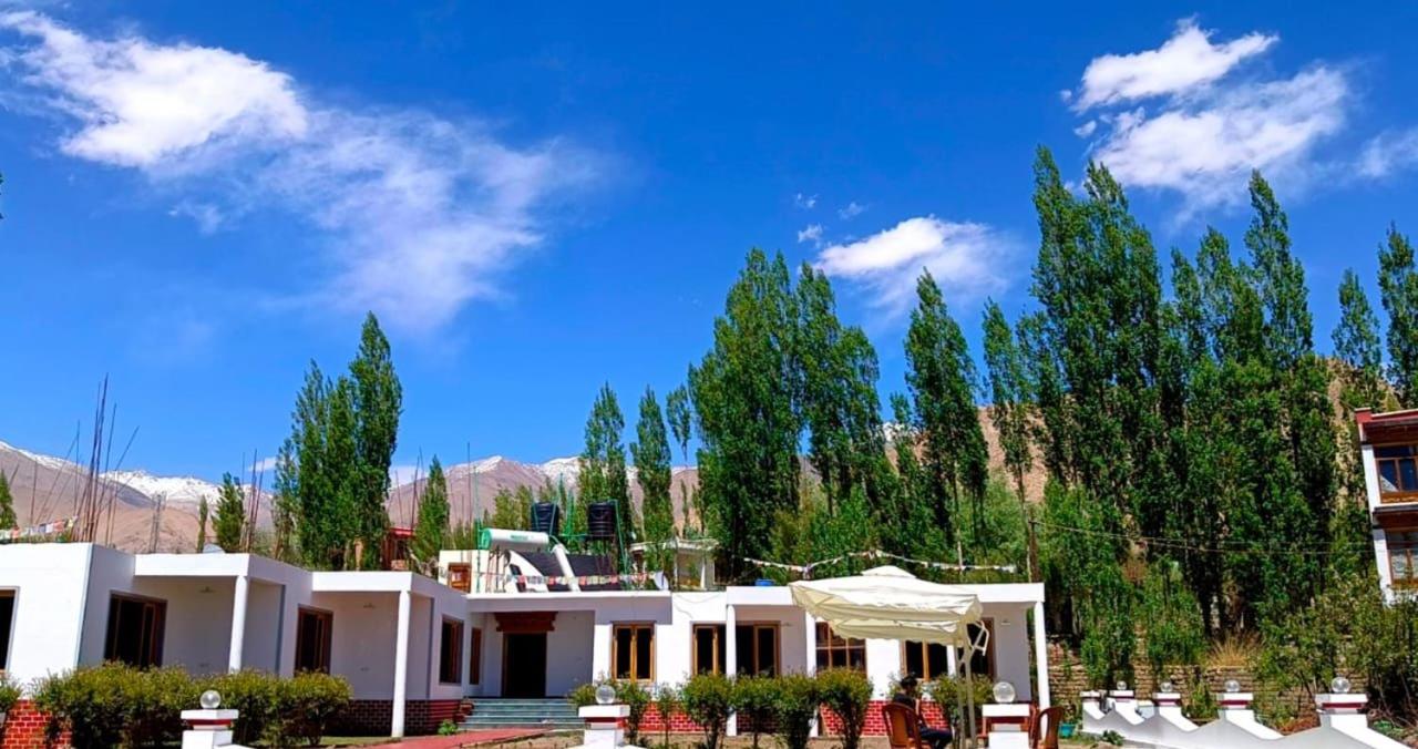 B&B Leh - Ladakh Kingdom, Leh - Bed and Breakfast Leh