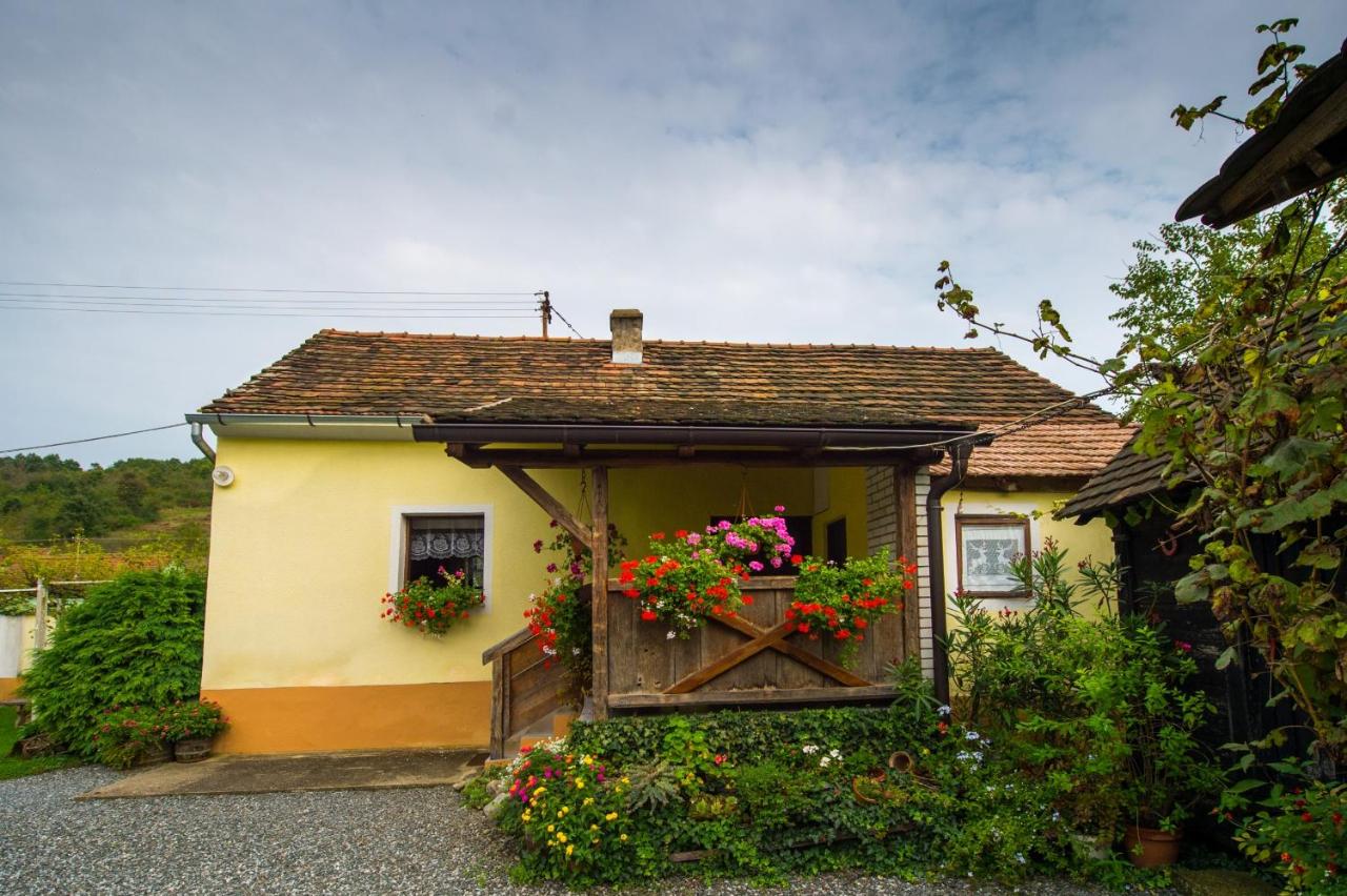 Appartement avec Terrasse