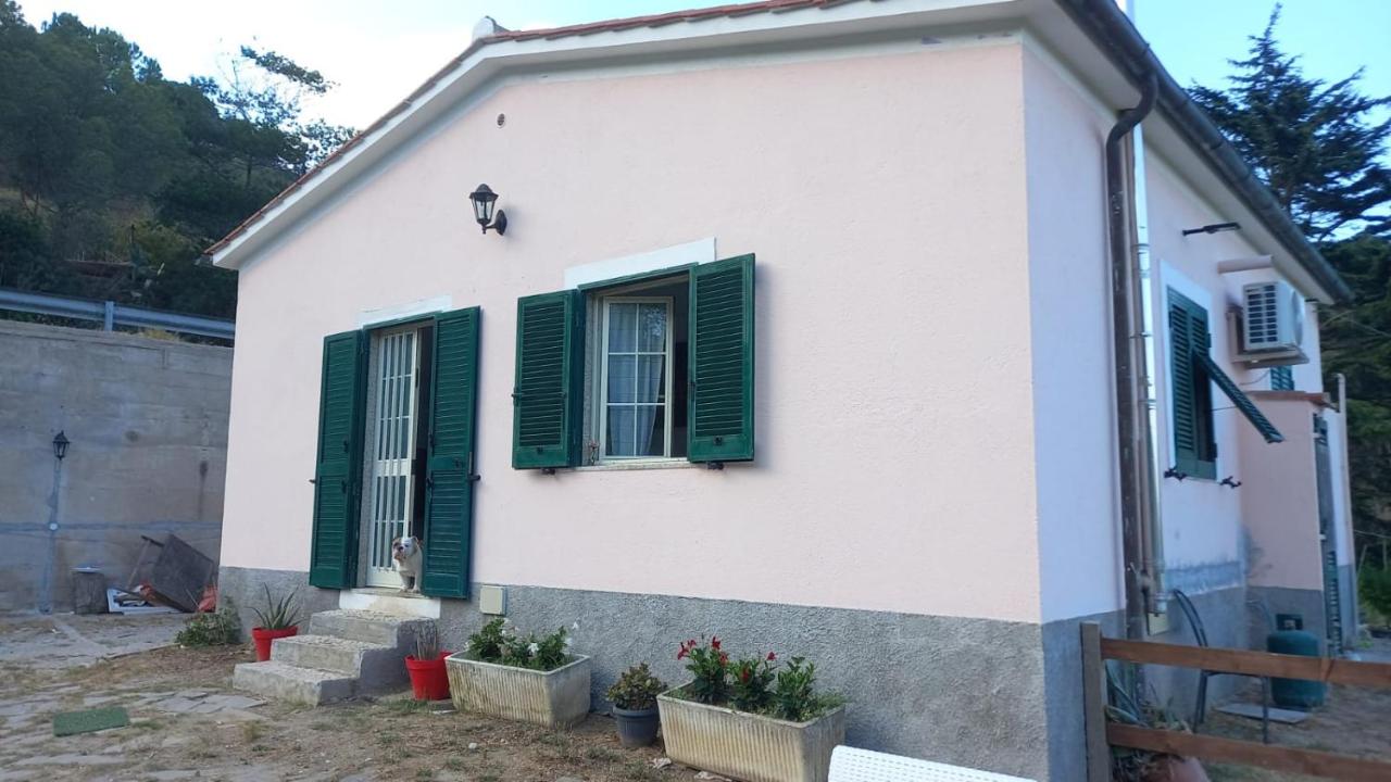 Casa Ariel - B&B