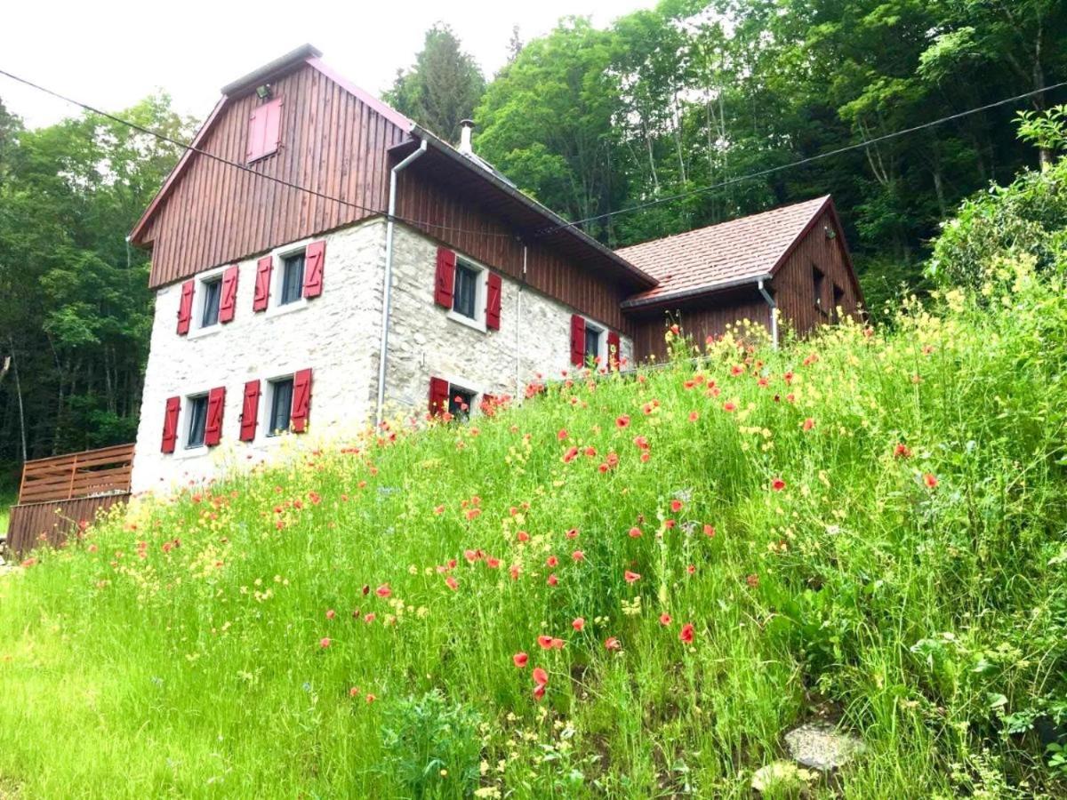 La Désirade Incroyable lodge typique dans les Vosges du Sud - Chambres d’hôtes Linthal