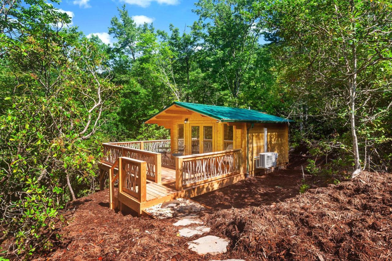 B&B Marion - Laurel Ridge Cabin...experience nature in 90 acres! - Bed and Breakfast Marion