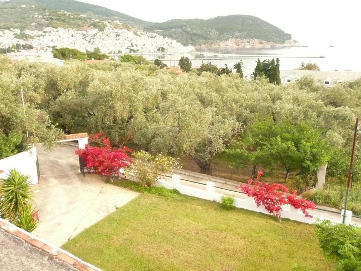 B&B Skopelos Town - Filoxenia - Bed and Breakfast Skopelos Town