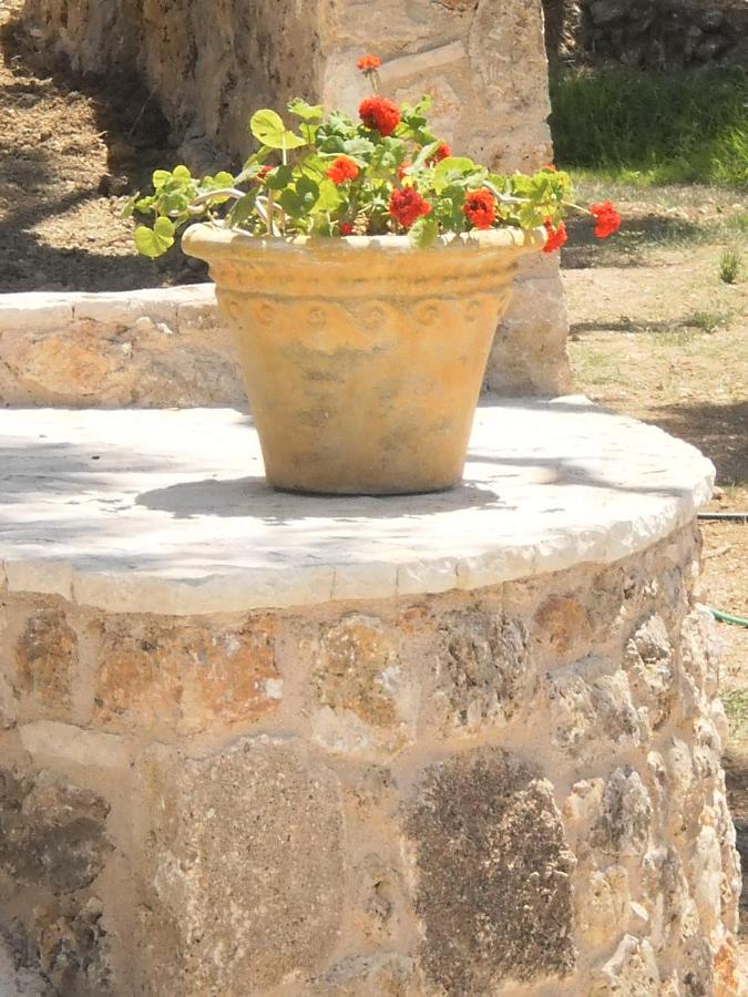 Villa Maras Parga 1 - Συγκρότημα καταλυμάτων - Ferienwohnung Parga