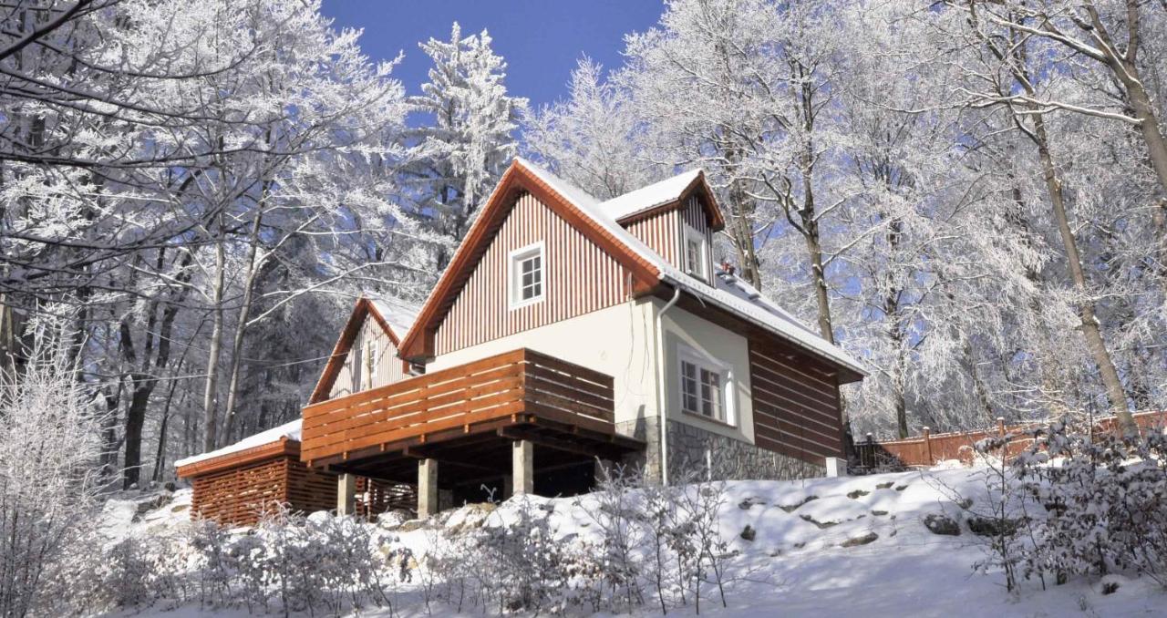 Space - Chambres d’hôtes Szklarska Poręba