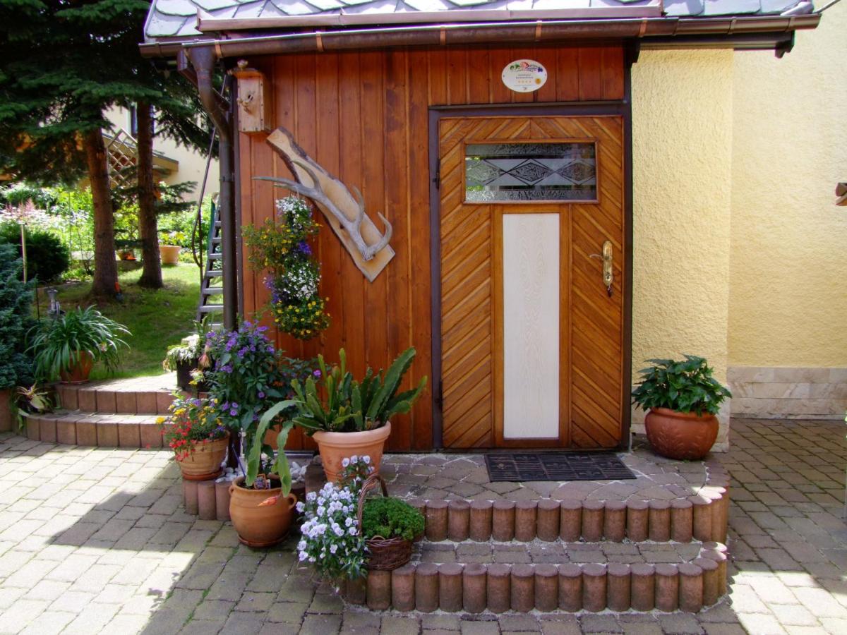 B&B Neuhausen - Ferienhaus Erzgebirge "An der Trebe" mit Kamin und Sauna - Bed and Breakfast Neuhausen