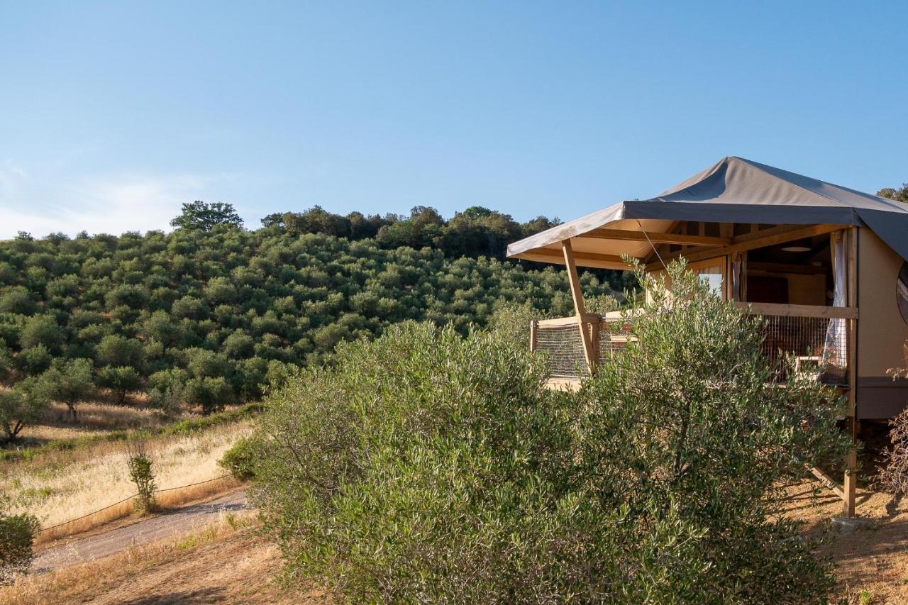 Glamping Podere San Jacopo - Ferienwohnung