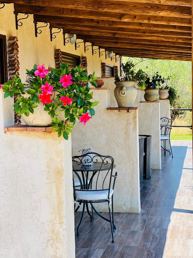 Casale Regina - B&B Marina di Camerota