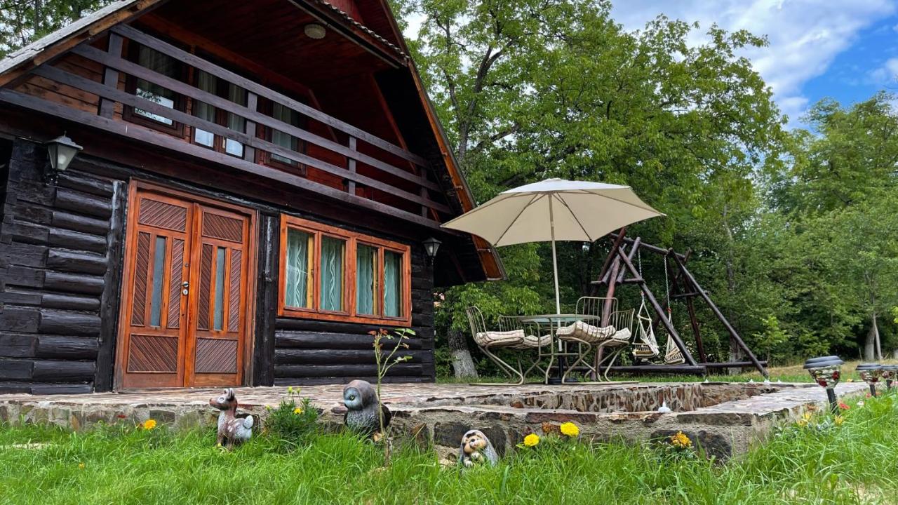 B&B Chişcău - Cabana Paulina - Bed and Breakfast Chişcău