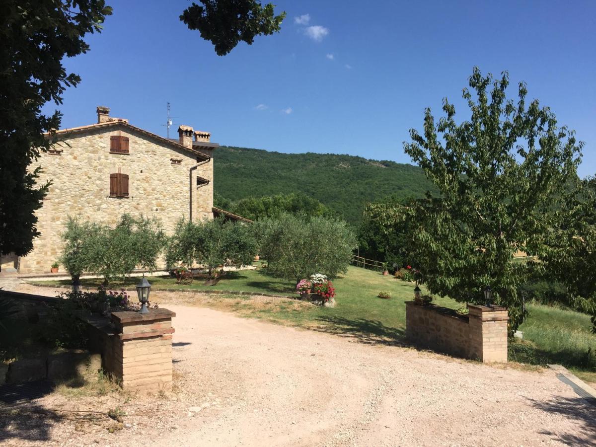 Agriturismo Pozzo dei Cocci - B&B