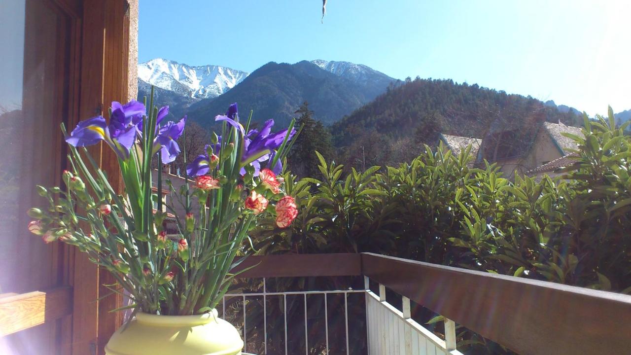 B&B Vernet-les-Bains - Balcon sous le Canigou T1 40m2 cuisine séparée - Bed and Breakfast Vernet-les-Bains