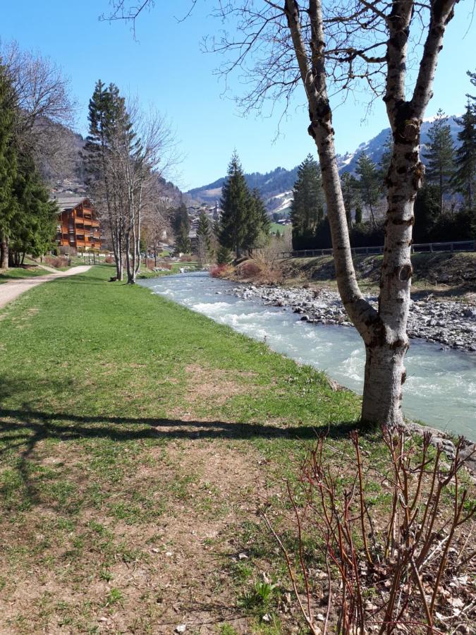 Studio belle vue sur les montagnes - B&B Le Grand-Bornand