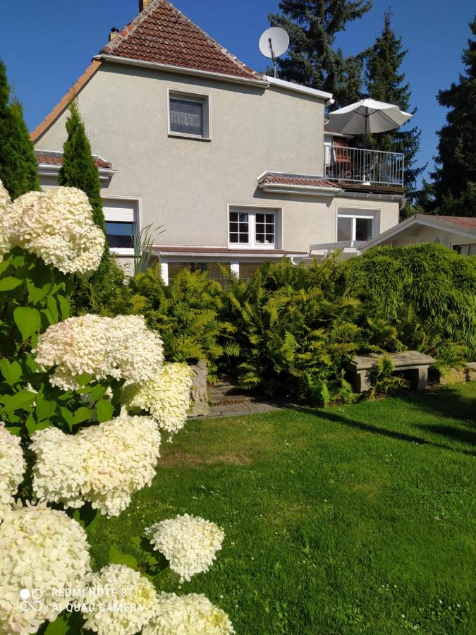 Kreativ Ferienwohnung Domizil der Sinne - B&B