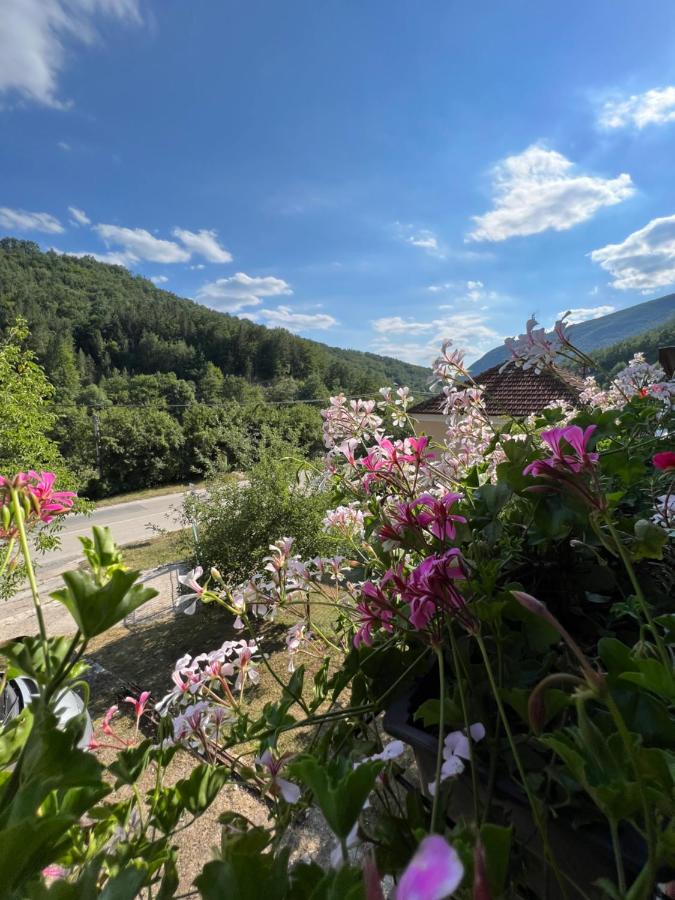 Mokra Gora Central Apartments - B&B