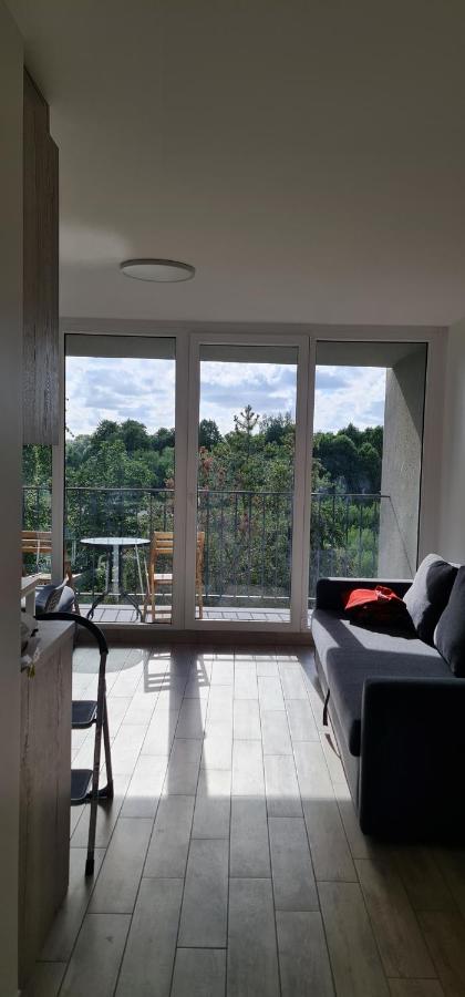 Vieno kambario butas studija Šventojoje - B&B Palanga