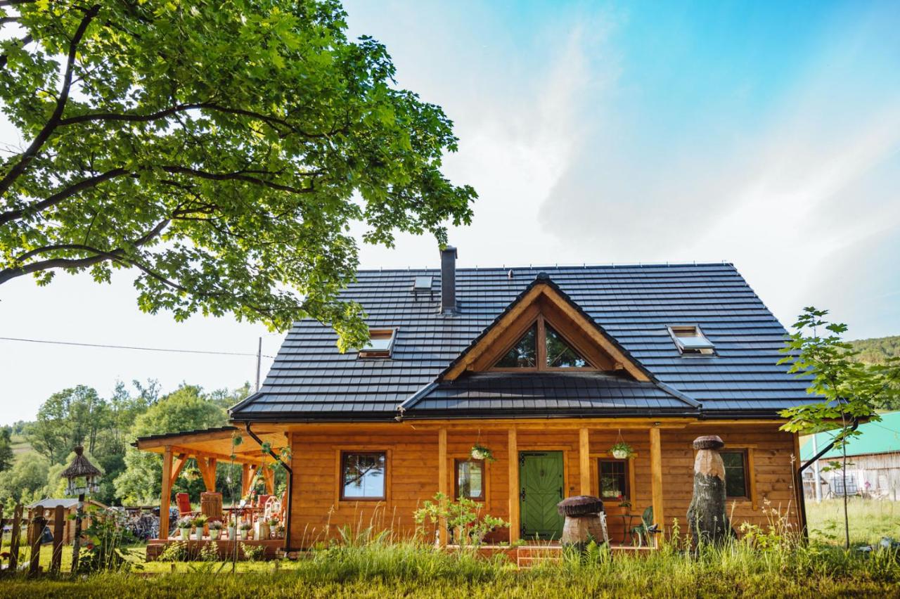 Chatka obok Dziadka w okolicy Czarnej Góry - Chambres d’hôtes Stary Gierałtów