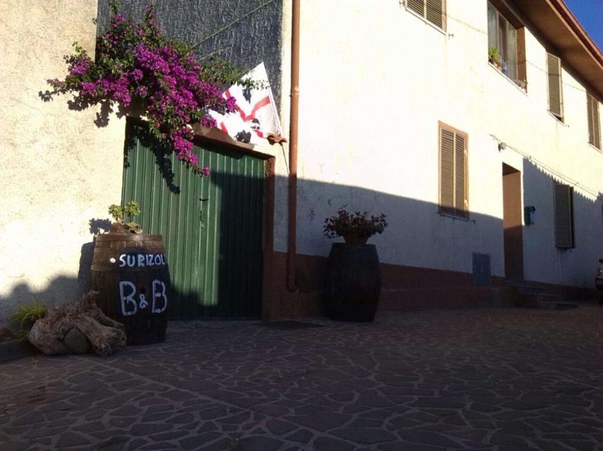 B&B Sagama - B&B Su Rizolu - Bed and Breakfast Sagama