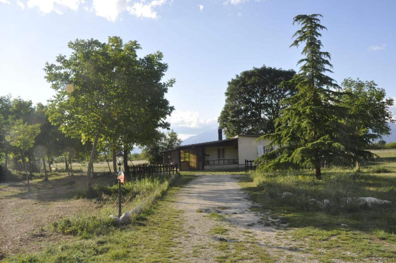Chalet di montagna - Bed and Breakfast Trasacco