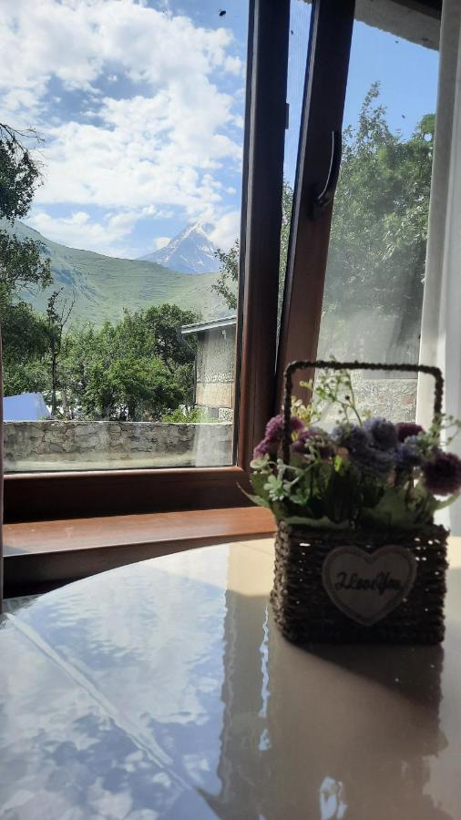 Apartments Gio-Nika - B&B Stepantsminda