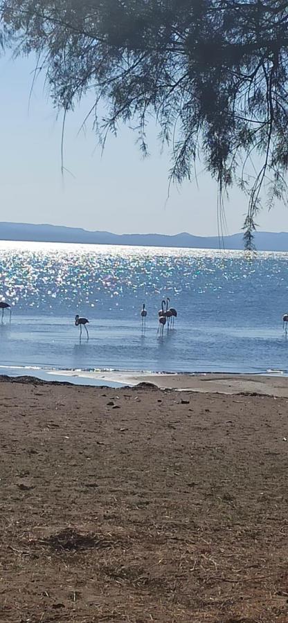 Angel's Houses - B&B Skala Kallonis