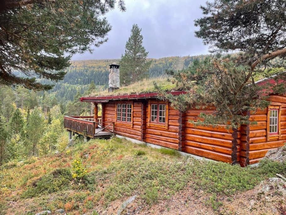 Timber Lodge in Uvdal Skisenter VIEW/WIFI - Chambres d'hôtes Sønstebø