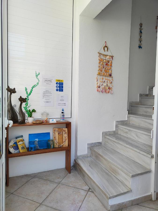 Appartement (4 Adultes)