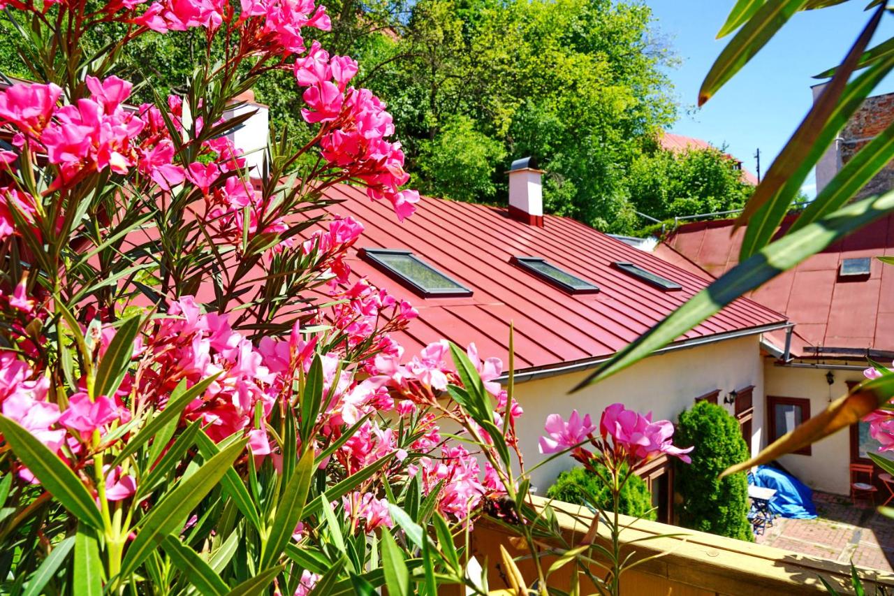 Tichý a slnečný loft Mikovini v rušnom centre Štiavnice - Ferienwohnung