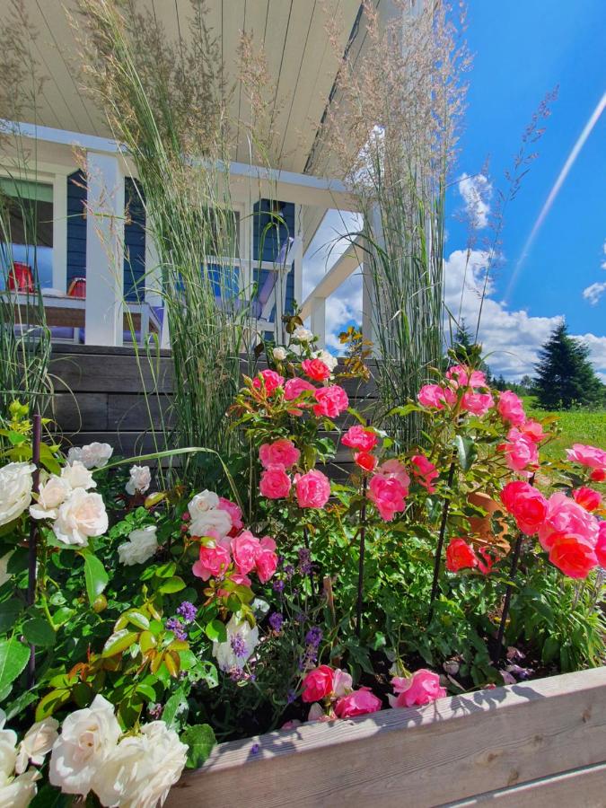 Kalda Holiday Home - B&B Otepää