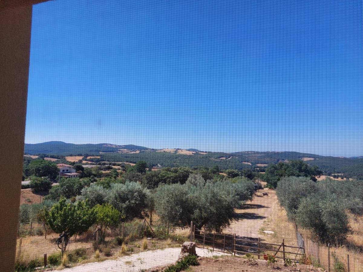 Fattoria La Campigliola - Ferienwohnung La Campigliola