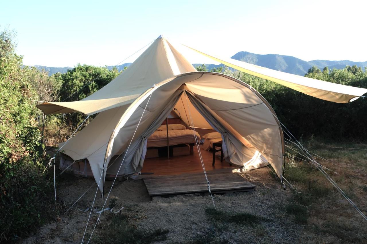 ecoVita agri-glamping - B&B