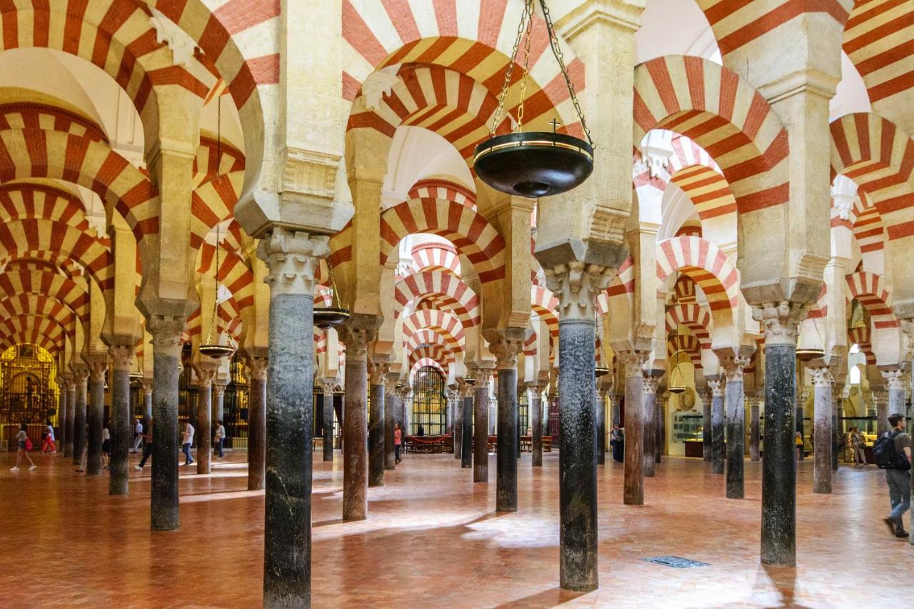 Apartamentos El Olivo - Chambres d’hôtes Cordoue