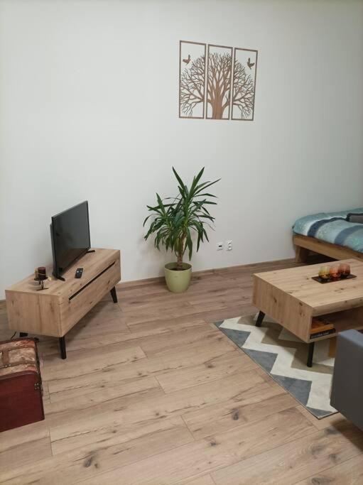Štýlový Apartmán Zemplínska - Bed and Breakfast